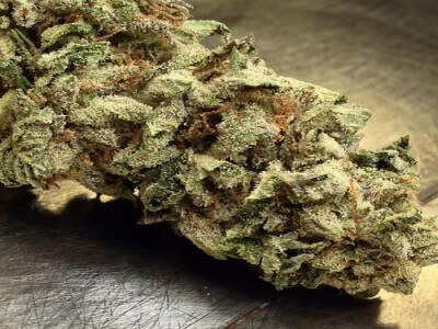 Bubba OG marijuana strain